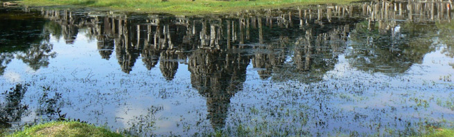 Angkor: decidedly unconnected.